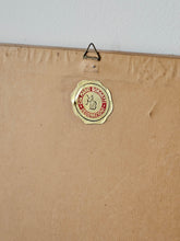 Load image into Gallery viewer, Stampa a colori di Zoologia che ritrae "Il Mandrillo" da noto libro di Gazzadi & Baschieri