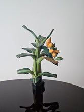 Load image into Gallery viewer, Scultura di pianta di Banano in legno di balsa decorativa anni '50