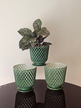 Load image into Gallery viewer, Cache-pot in plastica anni '60 di provenienza francese (verdi)