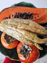 Load image into Gallery viewer, Piatto decorativo trompe l'oeil con frutta