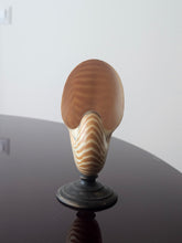 Load image into Gallery viewer, Conchiglia nautilus su base in legno ebanizzato