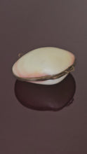 Load and play video in Gallery viewer, Scatolina conchiglia con chiusura in ottone anni &#39;50
