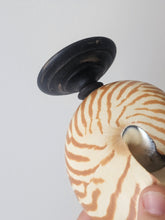 Load image into Gallery viewer, Conchiglia nautilus su base in legno ebanizzato

