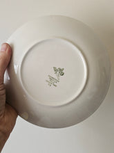 Load image into Gallery viewer, Tazze da tè Pagnossin Treviso anni 50
