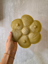 Load image into Gallery viewer, Set di piatti (6) in vetro opalino da ostriche/frutti di mare Cristallerje Portieux
