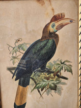 Load image into Gallery viewer, Disegno incorniciato con uccelli tropicali 25x35cm
