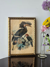 Load image into Gallery viewer, Disegno incorniciato con uccelli tropicali 25x35cm
