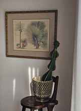 Load image into Gallery viewer, Coppia di stampe antiche di Palme XIX secolo
