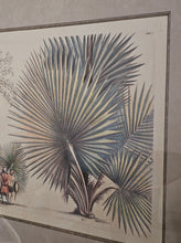 Load image into Gallery viewer, Coppia di stampe antiche di Palme XIX secolo
