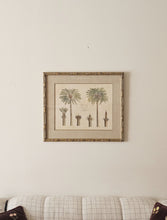 Load image into Gallery viewer, Coppia di stampe antiche di Palme XIX secolo
