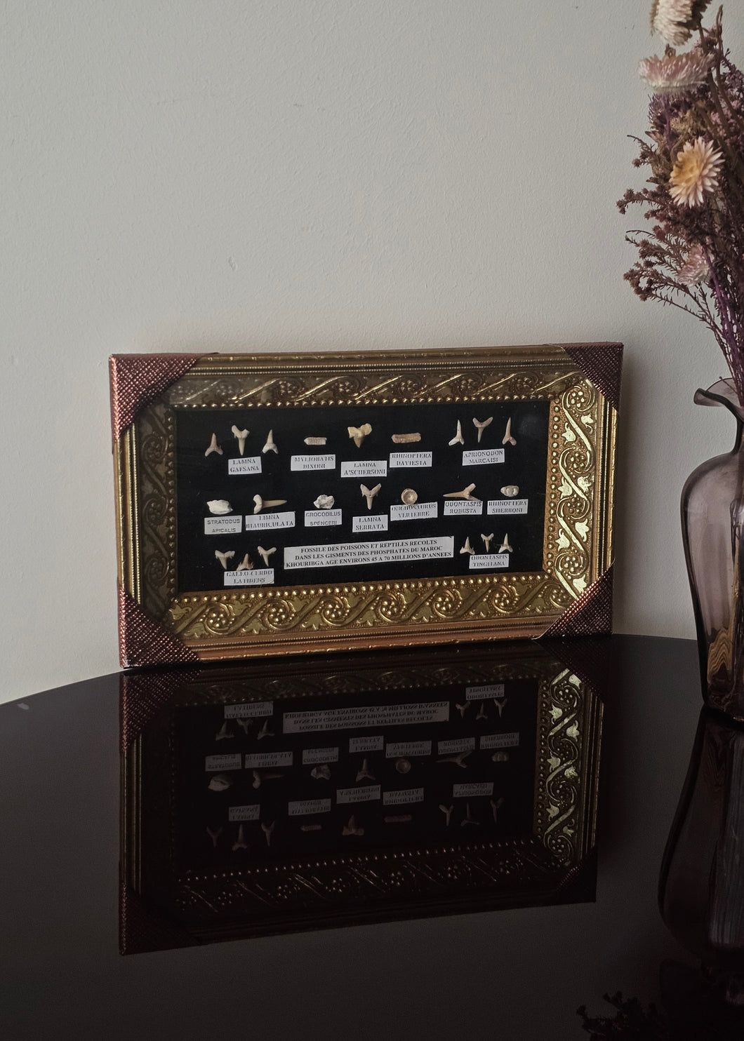 Quadro orizzontale con denti fossili di squalo