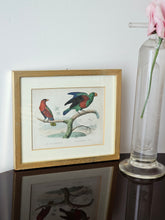 Load image into Gallery viewer, Stampine incorniciate di uccelli tropicali

