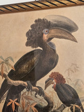Load image into Gallery viewer, Disegno incorniciato con uccelli tropicali 25x35cm
